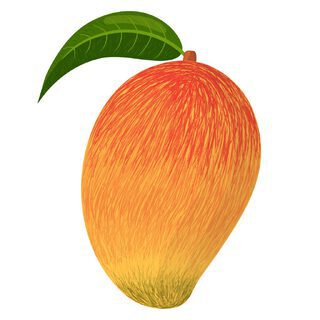 drawing of ripe mango signifying southeast asia