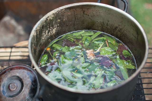 Brewing sacred ayahuasca medicine amazon