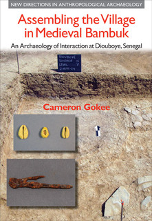 photo showing cowrie shells and rusted iron nails shown in situ in the excavation site,  