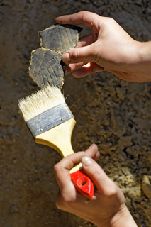 photo of a clay vessel fragment of the Neolithic being cleaned with a brush