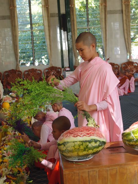 a group of buddhist nuns 