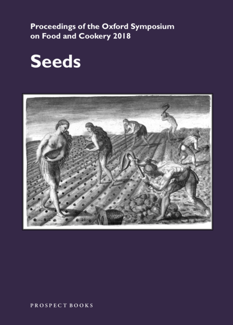 people sowing seeds in field 