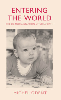 book chapter