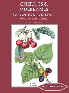 red cherries and purple, red and white mulberries with leaves