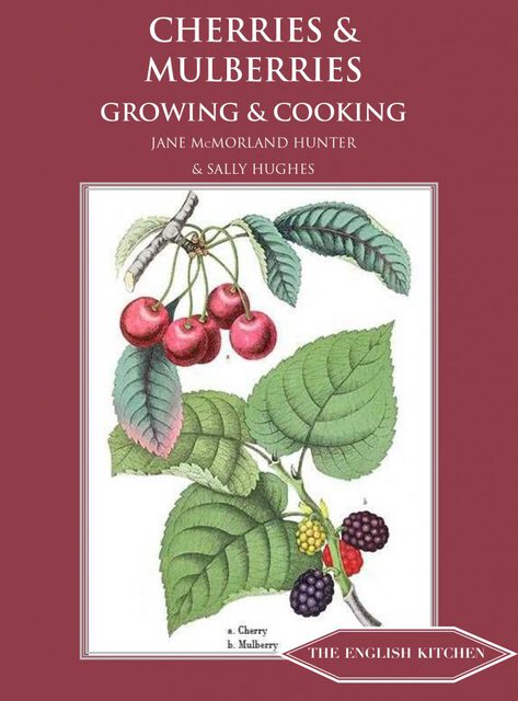 red cherries and purple, red and white mulberries and leaves