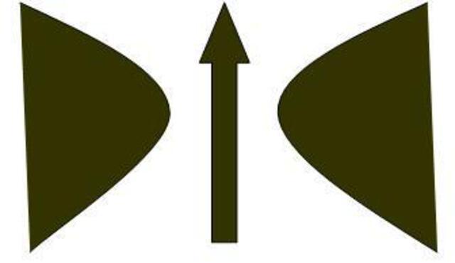 the logo of the Middle Way Society is an arrow suggesting a path for improving judgement