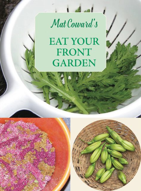 collage of 3 images each with a different seed or vegetable