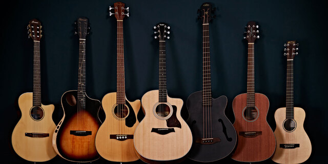 a group of different types of guitars