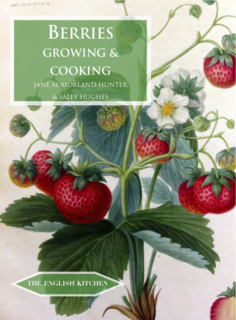 Cover of About the Author